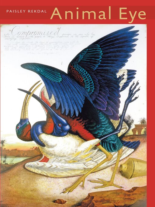 Title details for Animal Eye by Paisley Rekdal - Available